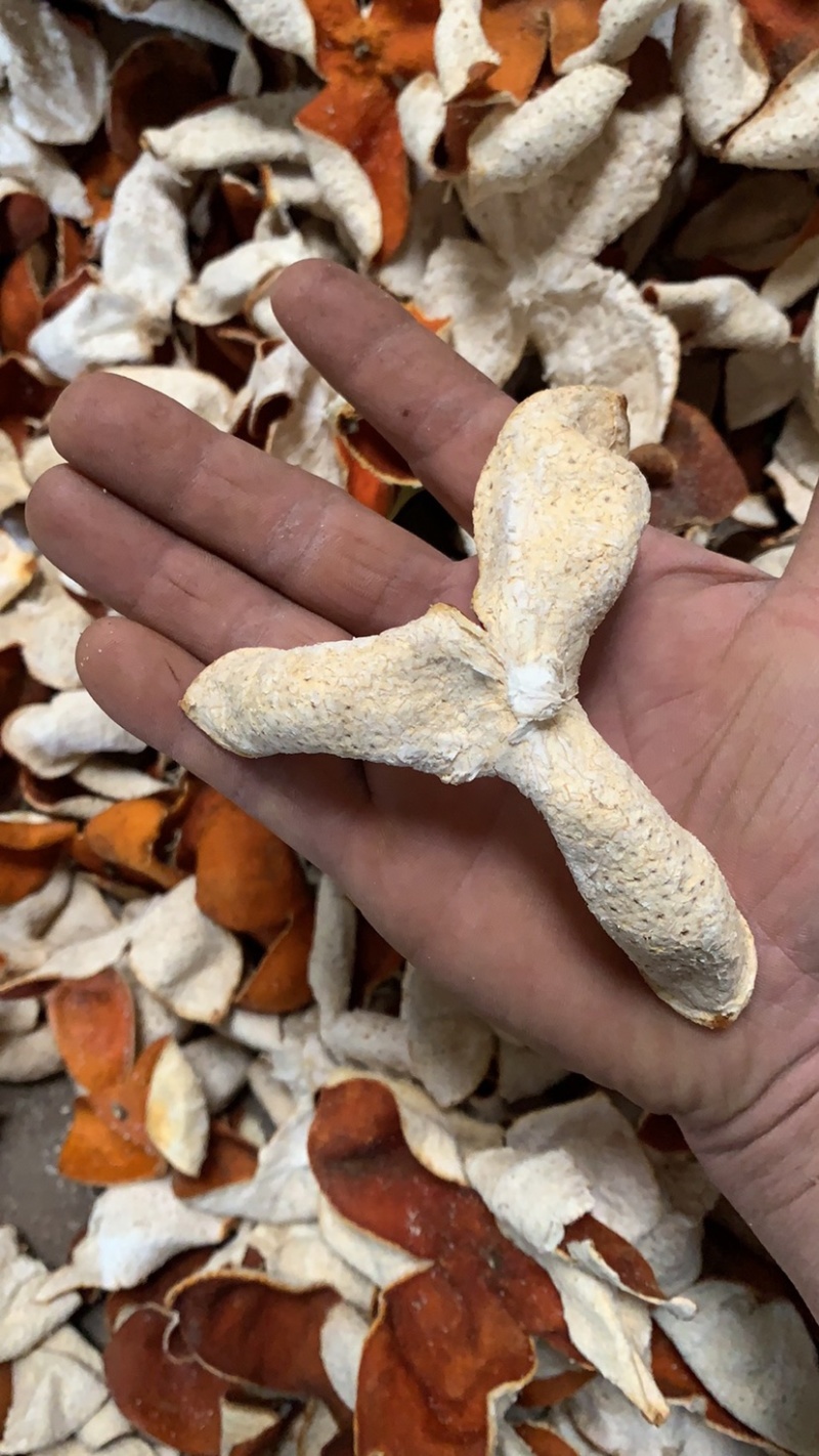 三花陈皮