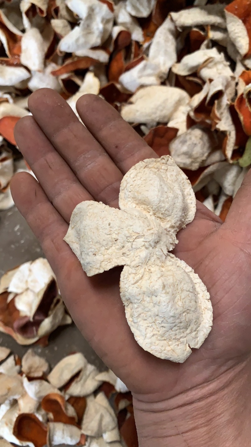 三花陈皮