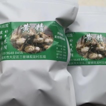 黄精