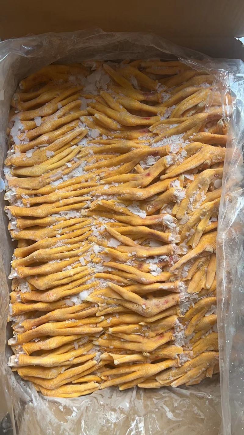 黄皮鸭掌一公斤24个左右，工厂直发，新货现货