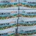 大量元素水溶肥高氮肥32个氮10个磷10个钾