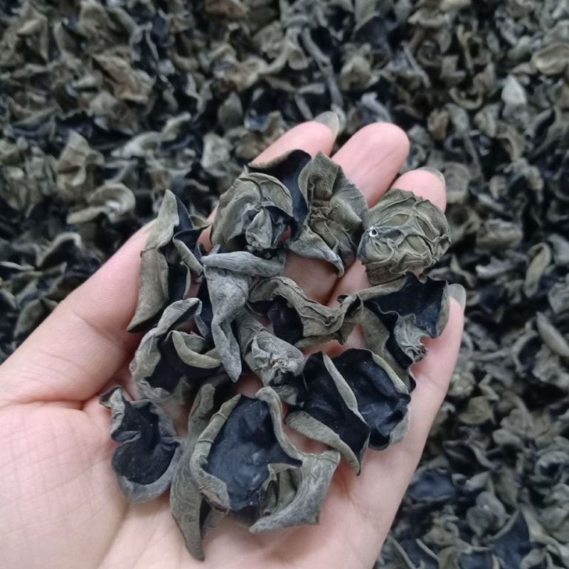黑木耳一件代发河南秋木耳干货以质论价全国发货欢迎电联