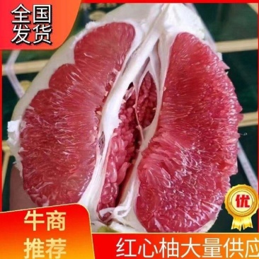 红心蜜柚，新鲜现货产地直发大量供应电商市，规格多