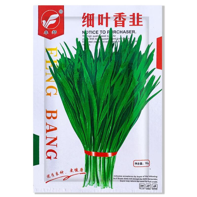 香韭菜种籽小细叶老品种香味浓郁生长春秋播耐寒细叶香韭蔬菜