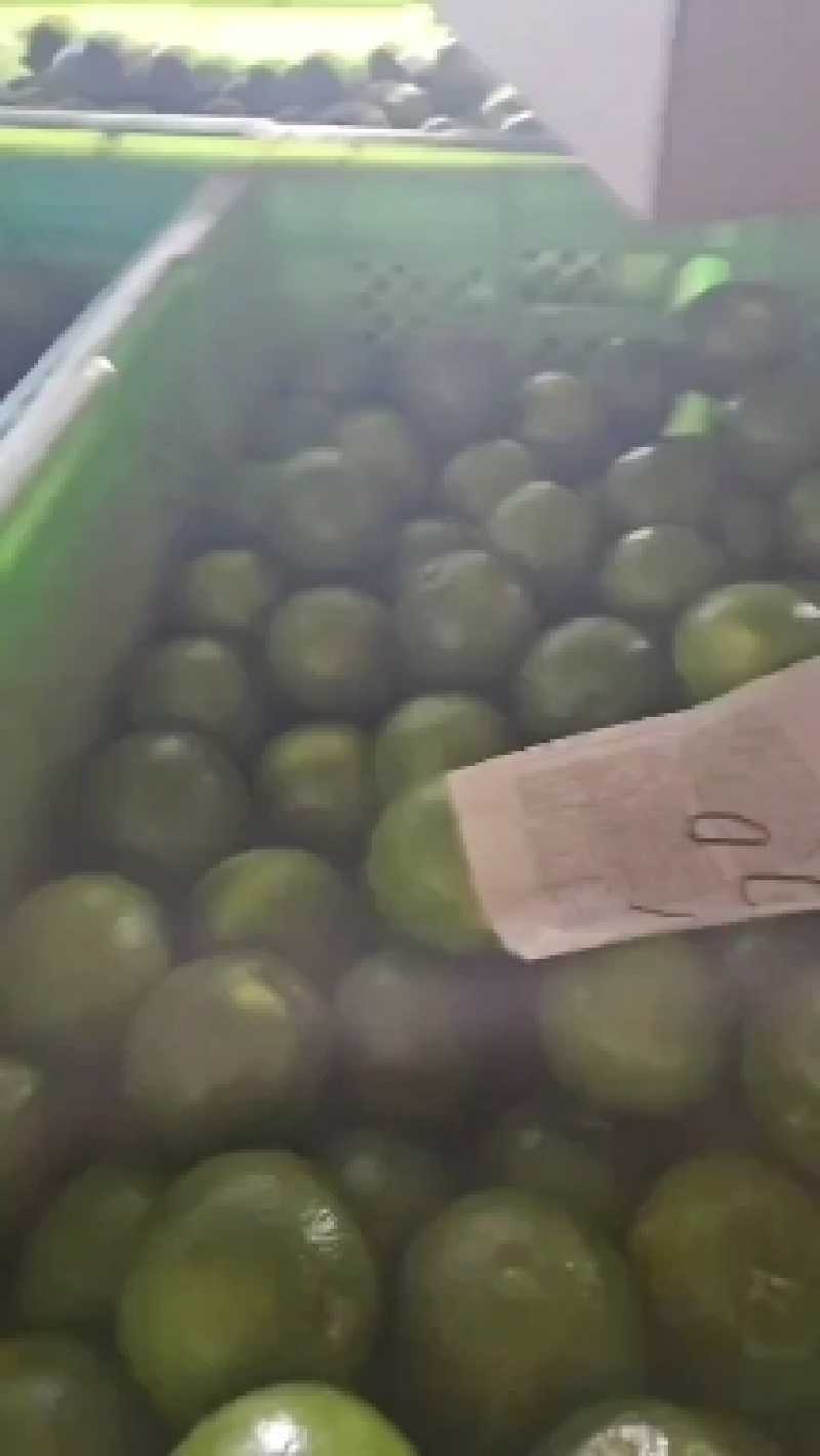 冰糖橙小果，花斑果