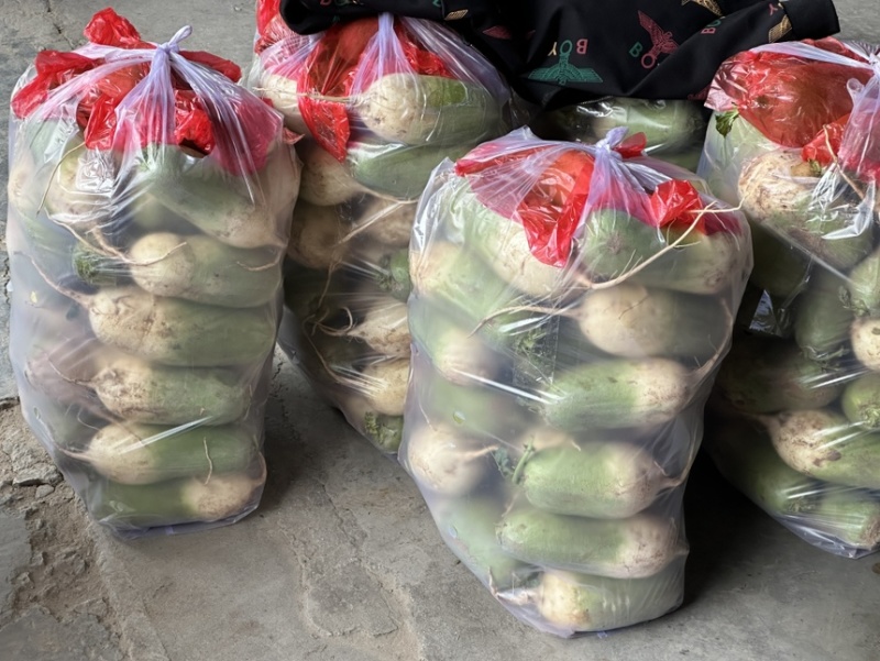 青萝卜白萝卜红萝卜个头均匀质量好价格实惠欢迎大量批发