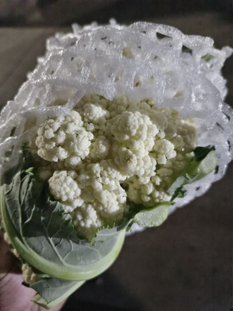 精品西兰花，现砍现发，色度好，商超品质，新鲜现货欢迎咨询