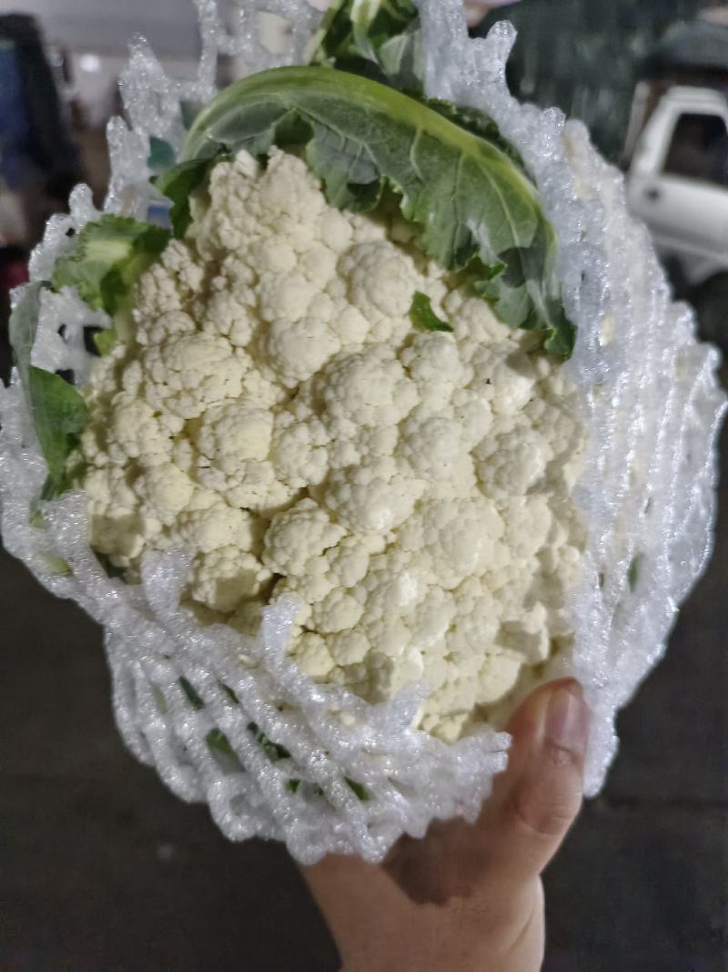 精品西兰花，现砍现发，色度好，商超品质，新鲜现货欢迎咨询