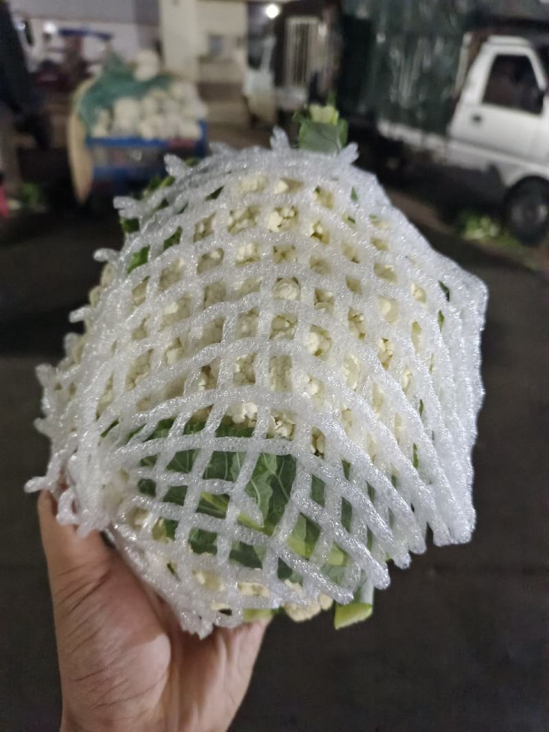 精品西兰花，现砍现发，色度好，商超品质，新鲜现货欢迎咨询