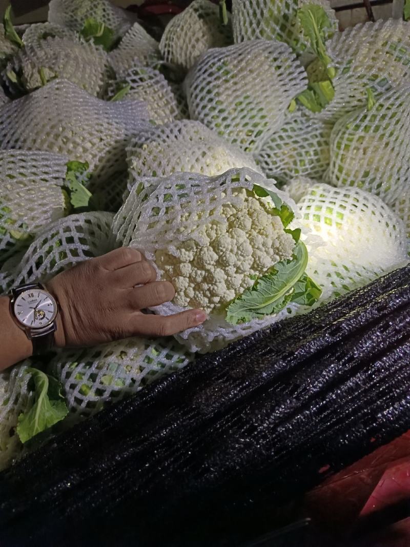 精品西兰花，现砍现发，色度好，商超品质，新鲜现货欢迎咨询