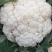 《精品》菜花2-3散花乳白价格美丽产地直供量大从优