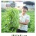 玉林空心菜菜标菜同菜标