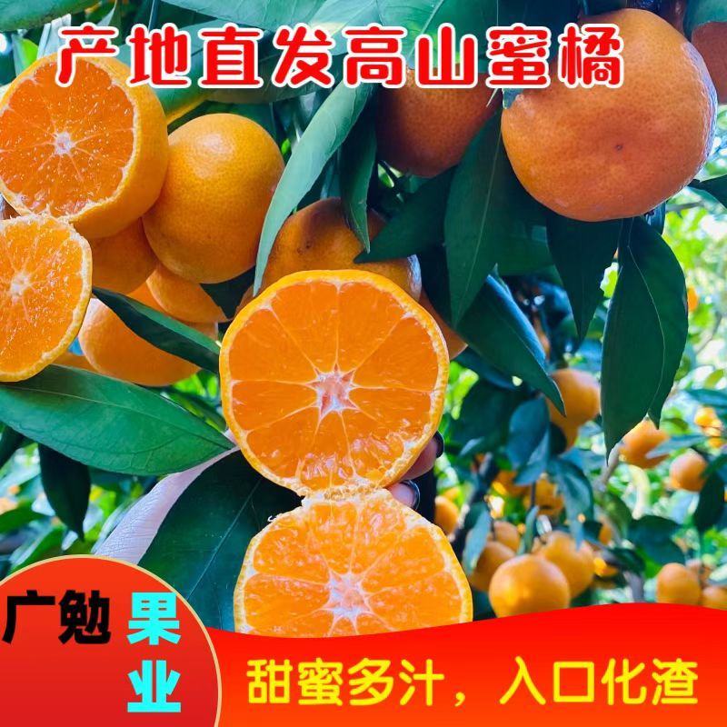【特早蜜桔】湖北特早蜜橘产地直发供应外贸出口商超电商市场