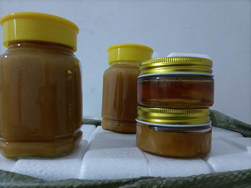 精品蜂蜜贵州大山土蜂蜜货源充足量大从优欢迎咨询