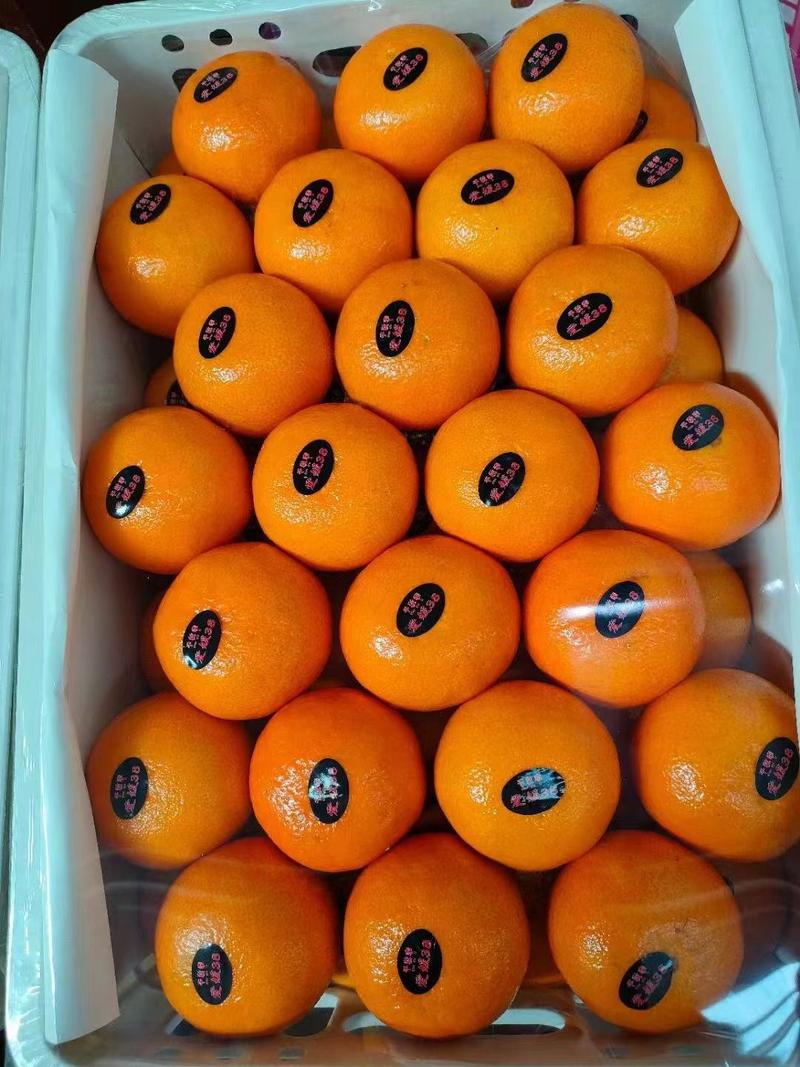 专业代办，爱媛38果冻橙供应电商产地发货