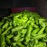 尖椒圆椒茄子豆角