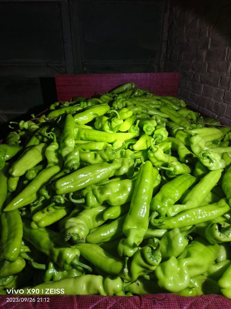 尖椒圆椒茄子豆角