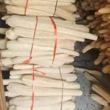 丝瓜络43一斤包邮50斤起批