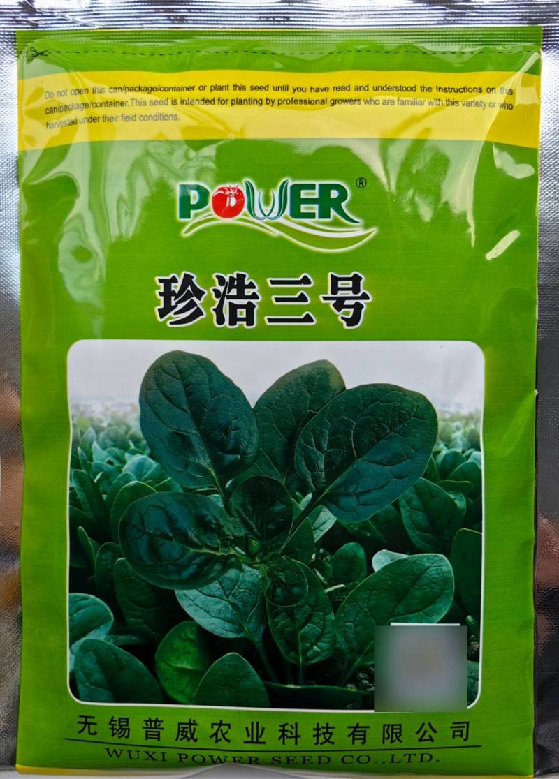 珍浩三号趴地菠菜种子普威大圆叶黑亮短柄厚叶抗霜霉病菠菜种