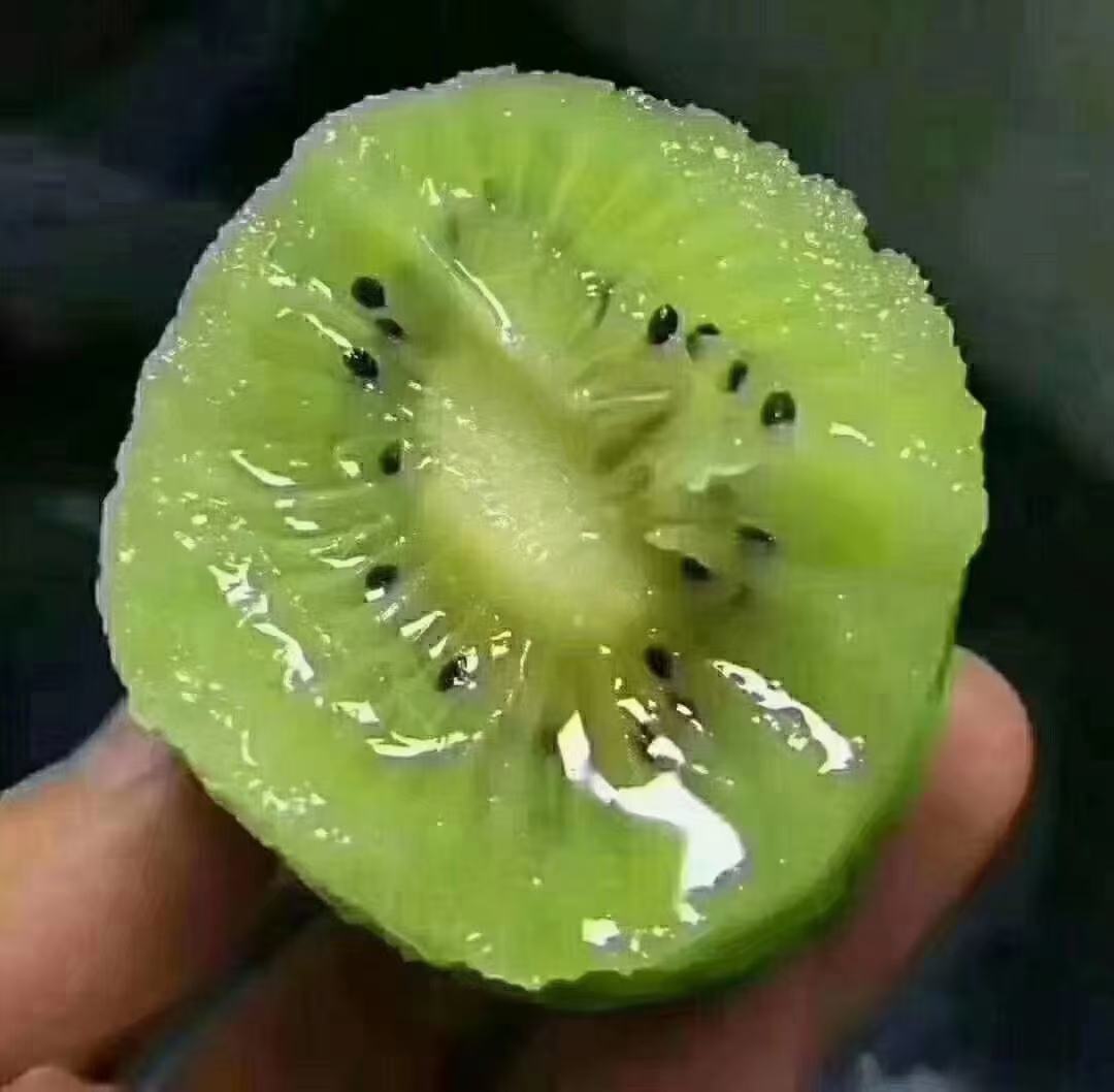 翠香猕猴桃切开果肉