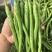 夏邑精品线椒鲜辣椒产地直供货源充足对接全国电商