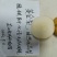 黄金蜜梨苗该梨皮薄肉白细嫩多汁脆甜浓香挂果树采枝育苗