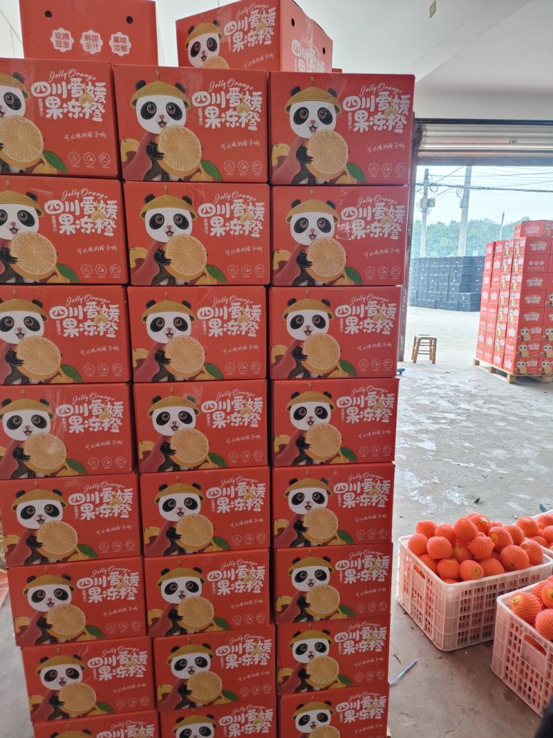 【爱媛28】新品上市支持一件代发整车发货物流发货