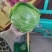 精品甘蓝菜