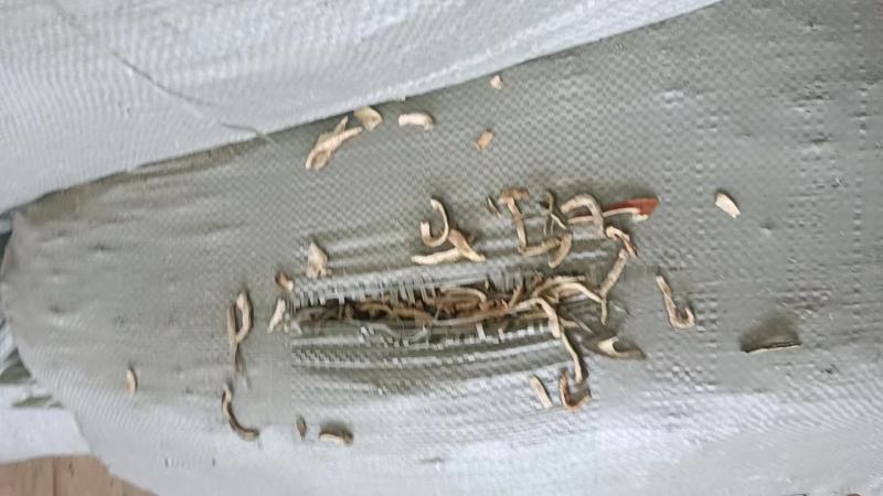 新陈皮个陈皮丝纯桔子皮产新无硫烘干过检大货产地供应
