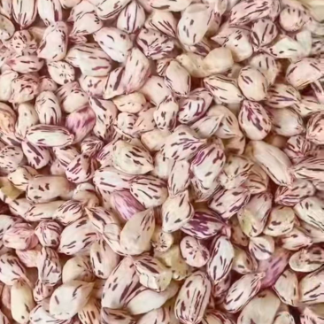 七彩花生米五彩花生水果花生牛奶花生