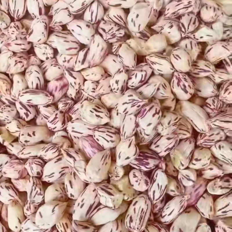 七彩花生米五彩花生水果花生牛奶花生