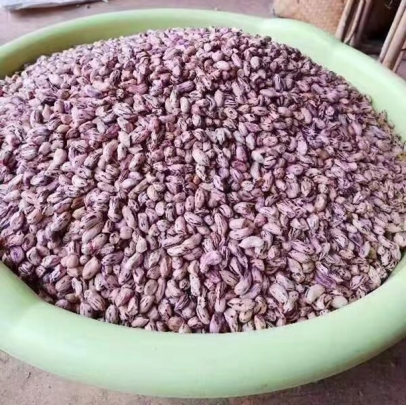 七彩花生米五彩花生水果花生牛奶花生