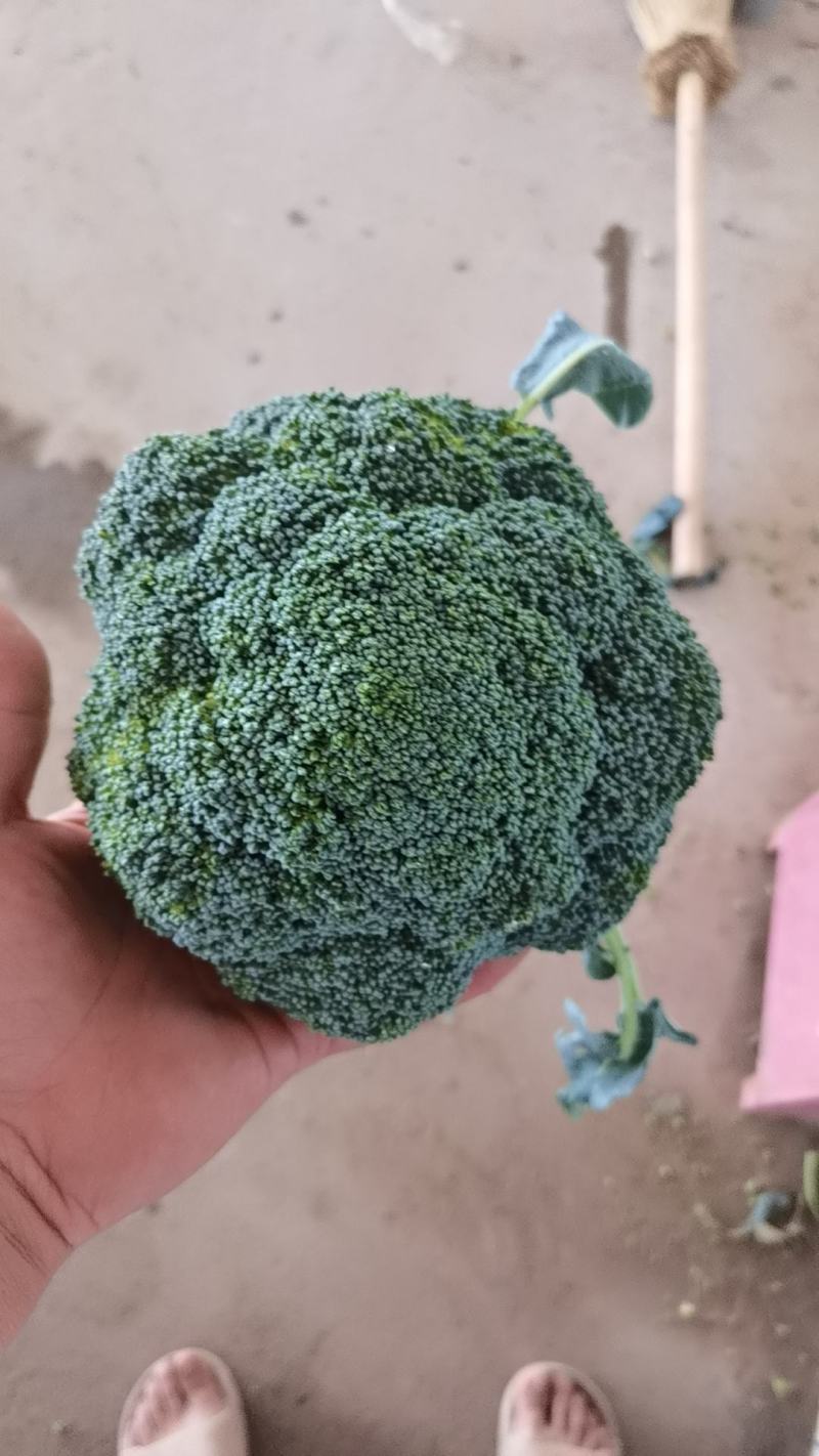 西兰花