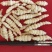 甘肃靖远精品螺丝菜