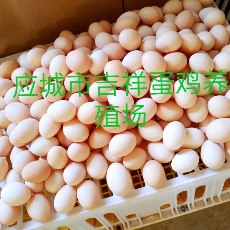 精品大粉蛋
