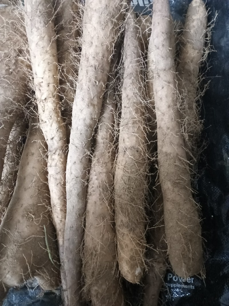 新白玉山药，打皮货，加工厂，短粗山药，白玉山药饼子佛手山