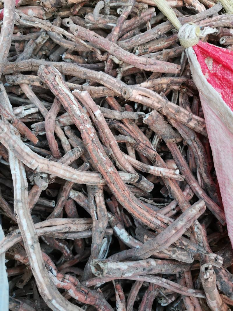 牡丹，丹皮，牡丹根，红牡丹，中药材无硫牡丹皮，