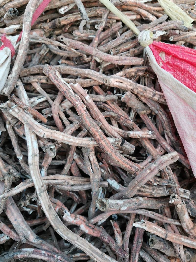 牡丹，丹皮，牡丹根，红牡丹，中药材无硫牡丹皮，