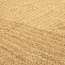 农产品水稻，小麦，玉米