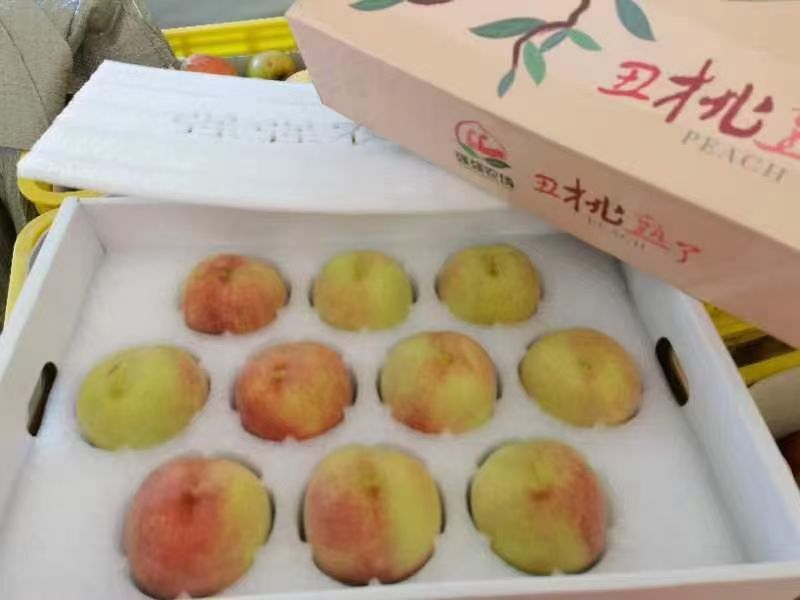 【山东冬桃】丑桃基地直发供应全国市场电商商超