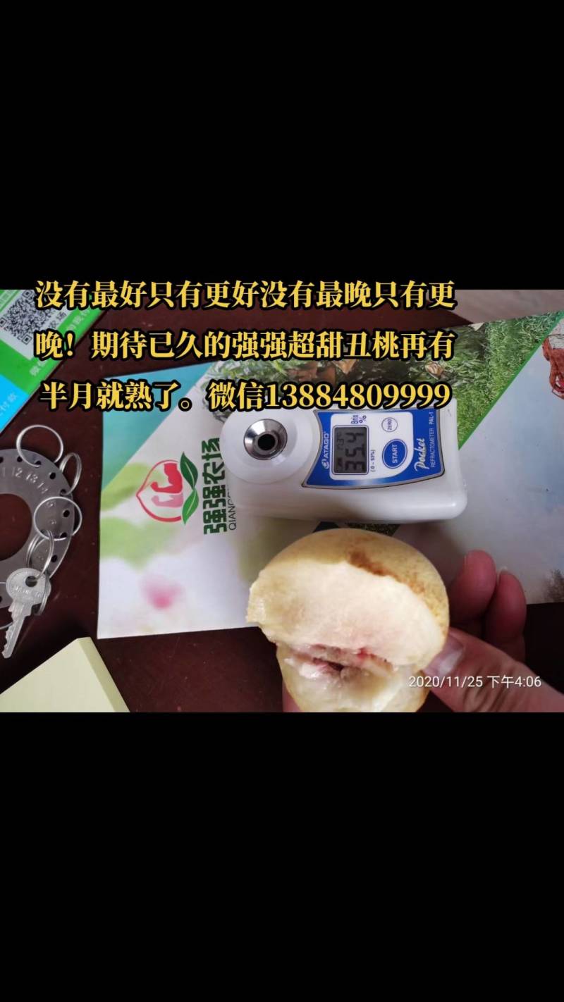 【山东冬桃】丑桃基地直发供应全国市场电商商超