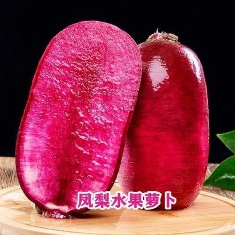 正品凤梨红心水果萝卜种子红紫皮红心冰糖甜脆种子春秋播紫红