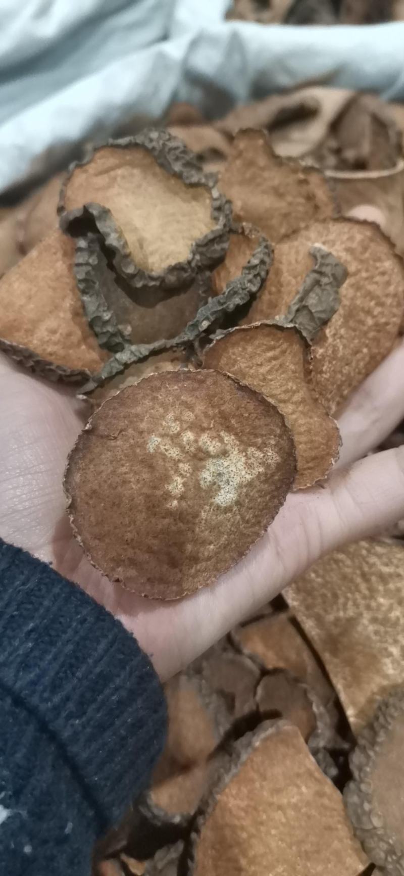 黄药子，新货无硫无熏蒸产地直供现货24小时内发货