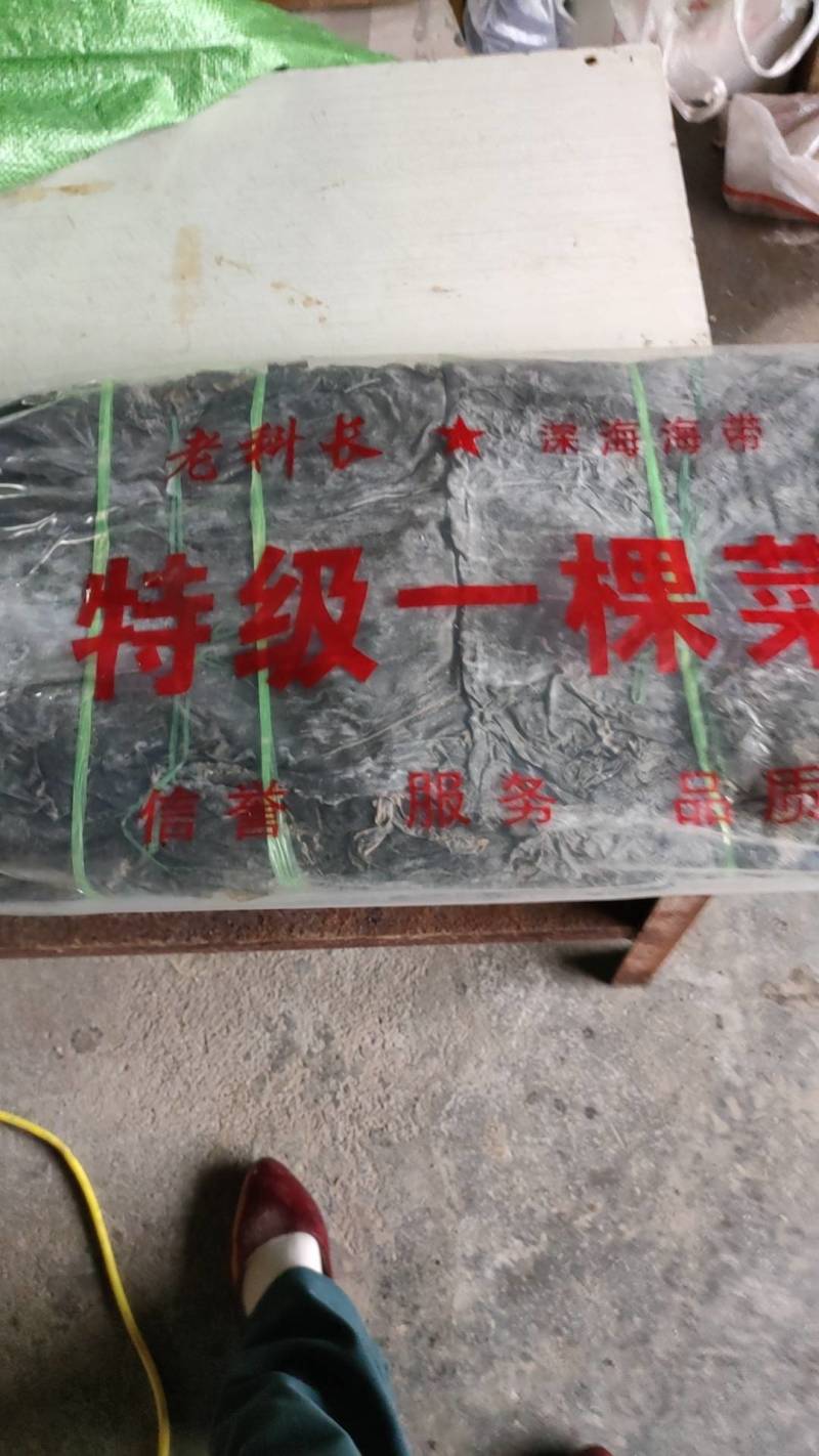 老科长海带片：特优一棵菜.单选宽叶.无黄无杂.品质同报价