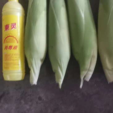 甜糯玉米
