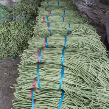 求购60吨长豆角