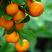 【蜜橘】基地发货品质保证货源充足量大从优价格优惠