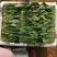 山东精品小叶菠菜产地直发一手货源欢迎咨询