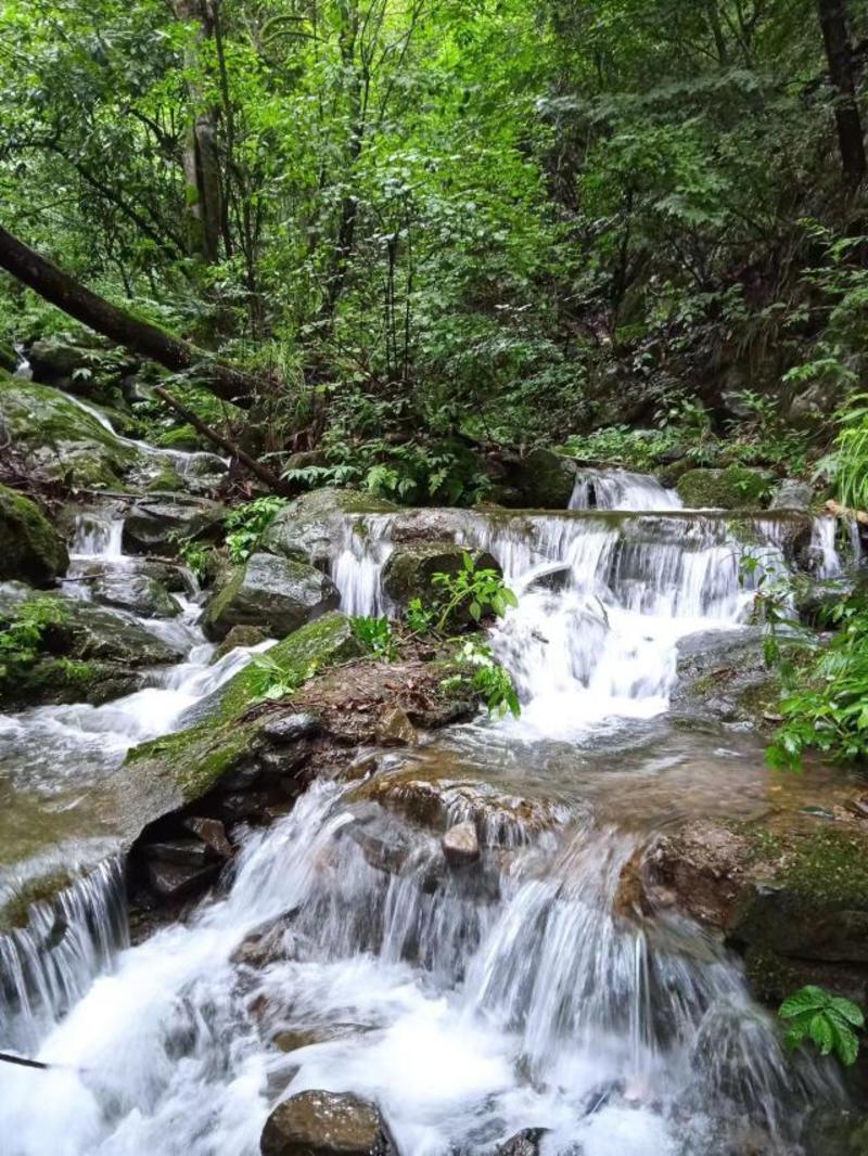 自有地皮出租/可以做富硒水生产基地、和民宿