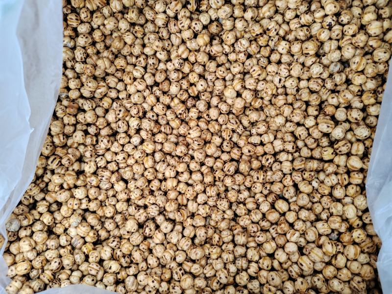 鹰嘴豆土耳其鹰嘴豆，一手货源直供电商平台及各大城市批发商